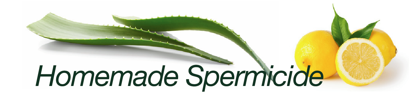 Homemade Spermicides?